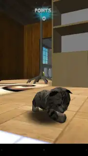 Cat Simulator captura 4
