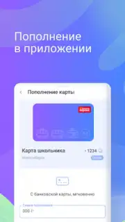 Транспортная карта captura 6