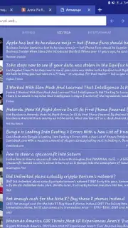 Skynet Browser captura 12