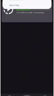 VidMad Video Downloader captura 4