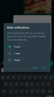WhatsApp Messenger captura 11