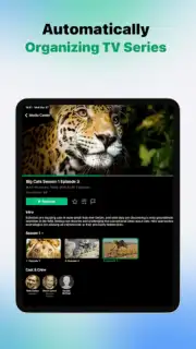 VidHub captura 16