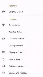 Phone by Google captura 10