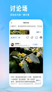 Zhihu captura 7