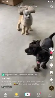 TikTok Pro captura 1