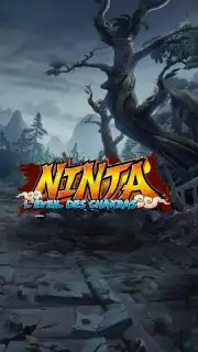 Ninja captura 3