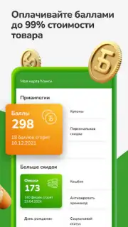 Макси – сеть магазинов captura 4