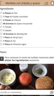 Recetas Mexicanas captura 6