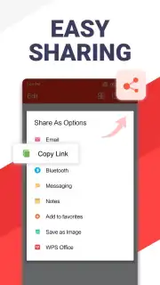 WPS Office captura 17