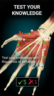 3D Anatomy Learning captura 3