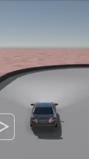 Skid Rally captura 6