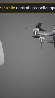 DJI Virtual Flight captura 8