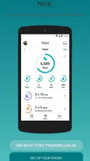 Fitbit captura 5