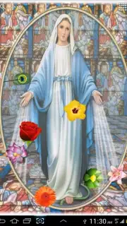 Virgin Mary captura 4