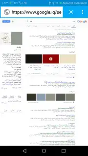 B Browser captura 6