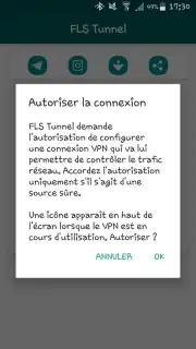 FLS Tunnel captura 6