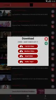 STube Music Downloader captura 4