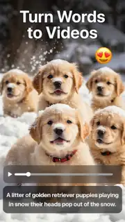 AI Video captura 13