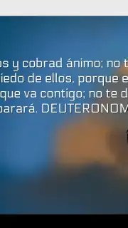 Promesas captura 4