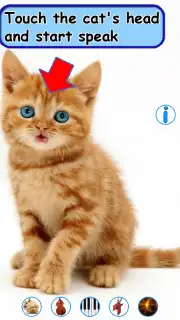 Talking, Dancing Cat. captura 8