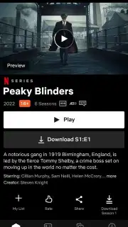 Netflix captura 11