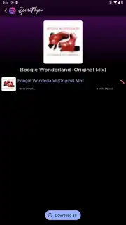 SpotiFlyer captura 5