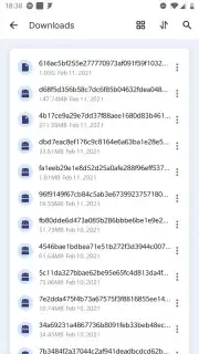 PoMelo File Explorer captura 5