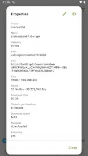 Advanced Download Manager captura 13