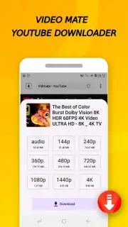 Vidora YouTube Downloader | free & fast captura 2