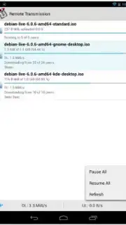Remote Transmission captura 3
