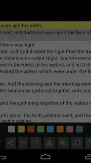 Bible Offline KJV with Audio captura 13