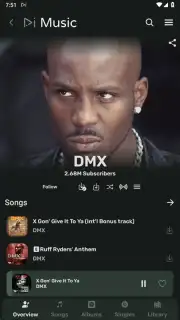 RiMusic captura 5