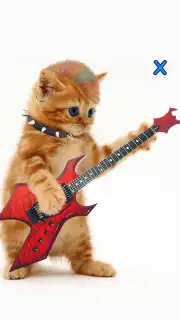 Talking, Dancing Cat. captura 3