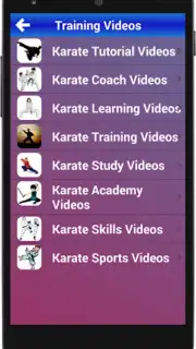 Karate Training captura 2