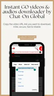 Instant GO videos & audios downloader captura 3