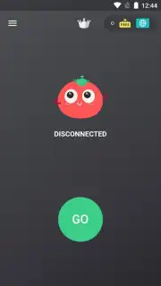 VPN Tomato captura 9