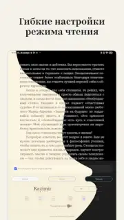 Bookmate. Books & Audiobooks captura 6
