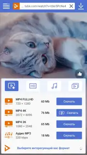 UDL App captura 4