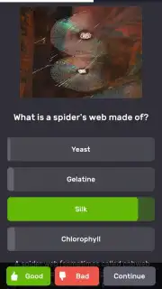 QuizzLand captura 2