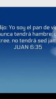 Promesas captura 2