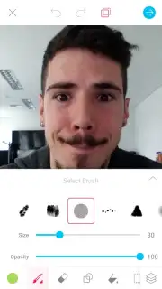 Animator captura 6