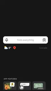 Yandex captura 3