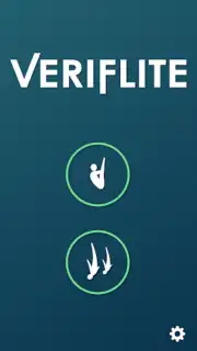 Veriflite captura 6