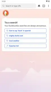 DuckDuckGo Private Browser captura 15