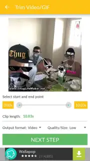 Video and GIF Memes captura 6