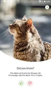 Zooplus: Online pet shop captura 2
