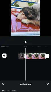 Filmora captura 20