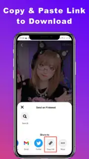 Downloader for Pinterest captura 4