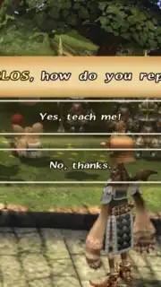 Final Fantasy Crystal Chronicles captura 8