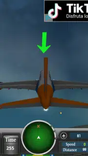 Airborne Simulator captura 1